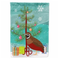 Chinese Painted or King Quail Christmas Flag Canvas House Size, Teal