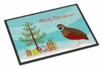 Chinese Painted or King Quail Christmas Indoor or Outdoor Mat 18x27, Teal