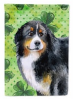Carolines Treasures BB9819CHF Bernese Mountain Dog St Patrick's House Flag, Gre