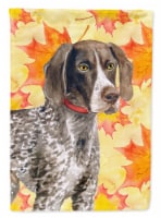 Carolines Treasures BB9902CHF German Shorthaired Pointer Fall House Flag, Yello