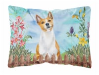Carolines Treasures CK1254PW1216 Basenji Spring Canvas Fabric Decorative Pillow