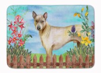 Carolines Treasures  CK1242RUG Thai Ridgeback Spring Machine Washable Memory Foa