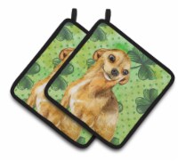 Carolines Treasures BB9832PTHD Chihuahua St Patrick's Pair of Pot Holders, Gree