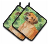 Carolines Treasures  BB9850PTHD Rhodesian Ridgeback St Patrick's Pair of Pot Hol