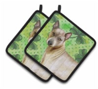 Carolines Treasures  BB9854PTHD Thai Ridgeback St Patrick's Pair of Pot Holders,