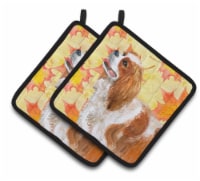 Carolines Treasures BB9924PTHD Cavalier Spaniel Fall Pair of Pot Holders, Yello