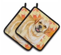 Carolines Treasures BB9925PTHD Golden Retriever Fall Pair of Pot Holders, Yello