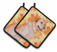 Carolines Treasures BB9975PTHD Labrador Retriever Fall Pair of Pot Holders, Yel
