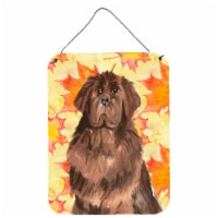 Carolines Treasures  CK1832DS1216 Fall Leaves Newfoundland Wall or Door Hanging