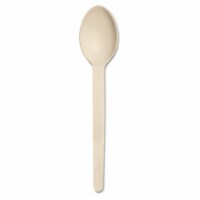 Spoons 100 Pack OFF WHITE ()