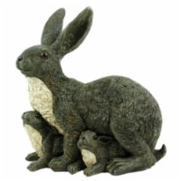 Michael Carr Mama Rabbit & Family