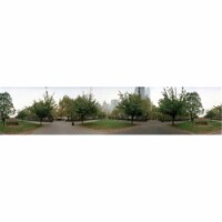 360 degree view of a public park Battery Park Manhattan New York City New York State USA