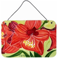 Flower - Amaryllis Indoor Aluminium Metal Wall Or Door Hanging Prints