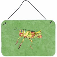 Grasshopper On Avacado Aluminium Metal Wall Or Door Hanging Prints