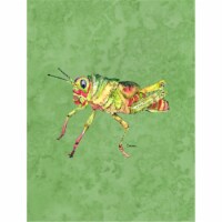 28 x 40 In. Grasshopper On Avacado Flag Canvas, House Size