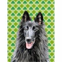 15 x 15 In. Belgian Sheepdog St. Patricks Day Shamrock Portrait Flag, Garden Size