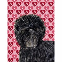 11 x 15 In. Affenpinscher Hearts Love And Valentines Day Portrait Flag, Garden Size
