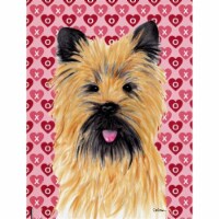 15 x 15 In. Cairn Terrier Hearts Love And Valentines Day Portrait Flag, Garden Size