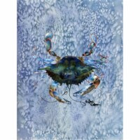 11 x 15 In. Crab Flag, Garden Size