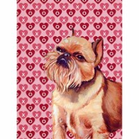 11 x 15 in. Brussels Griffon Hearts Love And Valentines Day Portrait Flag Garden Size
