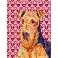 11 x 15 in. Airedale Hearts Love And Valentines Day Portrait Flag Garden Size