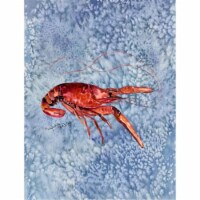 11 x 15 in. Crawfish Flag Garden Size