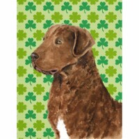 11 x 15 in. Chesapeake Bay Retriever St. Patricks Day Shamrock Portrait Flag Garden Size