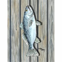 11 x 15 in. Fish Trout Flag Garden Size