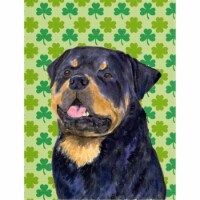 11 x 15 in. Rottweiler St. Patricks Day Shamrock Portrait Flag Garden Size