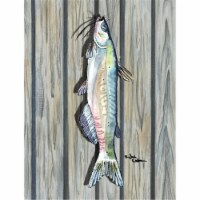 11 x 15 in. Fish Catfish Flag Garden Size