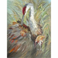 Sandhill Crane With Baby Flag Garden Size Perspective: Main