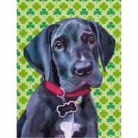 Black Great Dane Puppy St. Patricks Day Shamrock Flag Garden Size