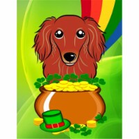 Longhair Red Dachshund St. Patricks Day Flag Garden