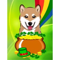 Shiba Inu St. Patricks Day Flag Garden