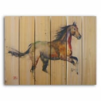 33 x 24 Free Spirit nside & Outside Full Color Cedar Wall Art