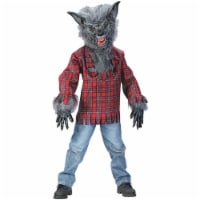 Princess Paradise 414034 Child Little Werewolf Costume for Boys, Extra Small