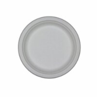 10 inch plate - 500 pcs