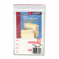 Alpha-Z Color-Coded First Letter Name Labels- I &amp; V- Pink- 100/Pack