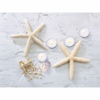 11.75 x 15.75 in. LED Lighted Starfish, Seashell & Tea Light Candles Canvas Wall Art