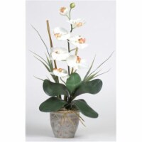 Single Stem Phalaenopsis Silk Orchid Arrangement