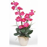 Double Stem Phalaenopsis Silk Orchid Arrangement
