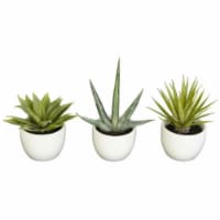 Silk Southwest Collection - Set Of 3 -