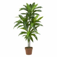 Silk  48 in. Dracaena Silk Plant - Real Touch -