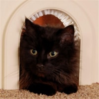 Pet Door for Cats with Removeable Brush -