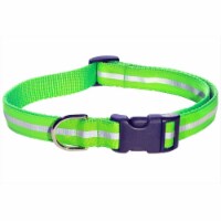 Reflective Dog Collar, Green - Medium