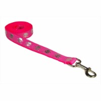 4 ft. Reflective Skull Dog Leash, Pink - Small