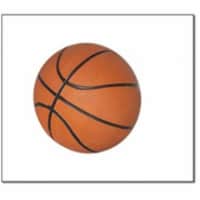 7'' Mini Basketball