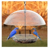 NABBFDR Dome Top Seed & Bluebird Bird Feeder