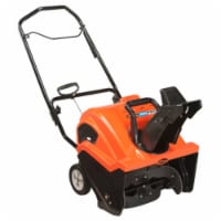 21 in. Single-Stage Snow Thrower