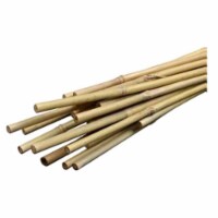SMG12030 3 ft. Bamboo Stake, 12 Pack